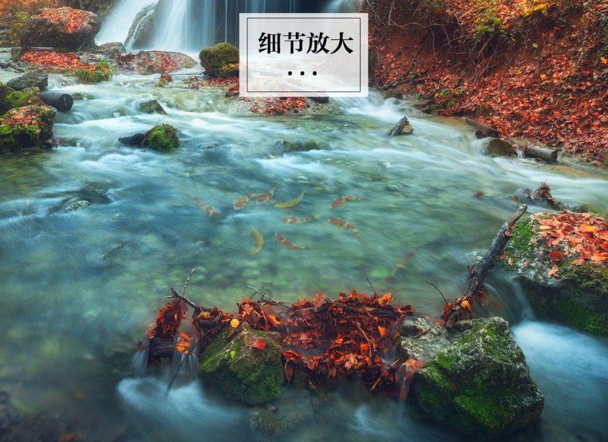 发现有趣热门话题!智云smooth4和大疆osmo2哪个会更值得一些红迪网平台震撼上线